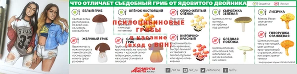 ПСИЛОЦИБИНОВЫЕ ГРИБЫ Абдулино