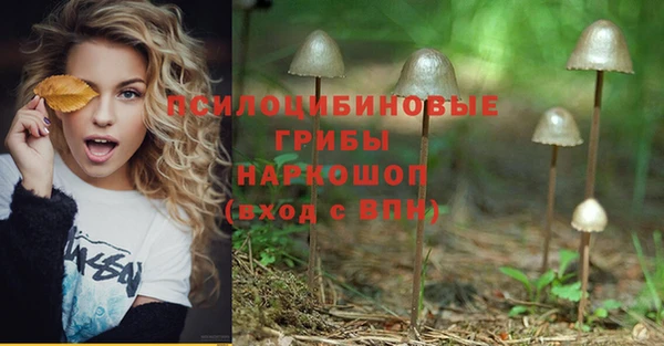 марки nbome Абаза
