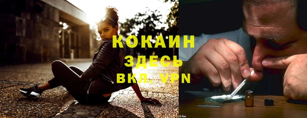 ПСИЛОЦИБИНОВЫЕ ГРИБЫ Абдулино