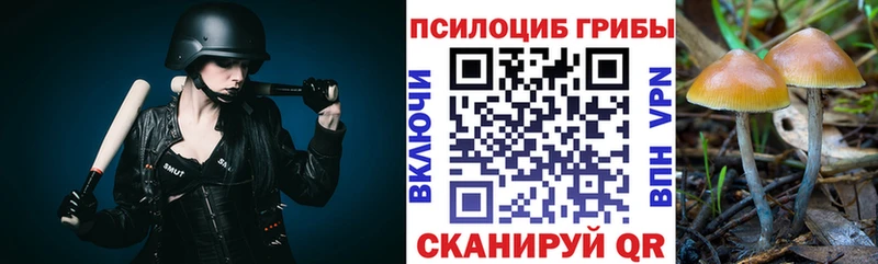 Галлюциногенные грибы Psilocybe  где найти наркотики  Курск 